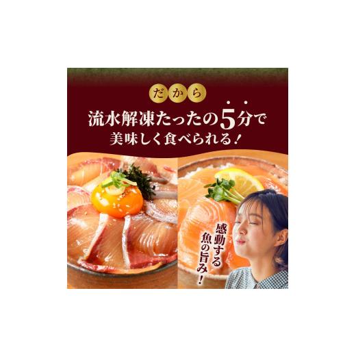 ふるさと納税 宮崎県 延岡市 日向灘ぶりと生アトランサーモンの漬け丼2種食べ比べセット　100g×8袋　N019-ZA829