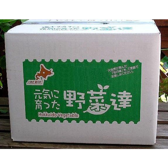 白米 2kg 送料無料 お米　ゆめぴりか 令和3年産 北海道産