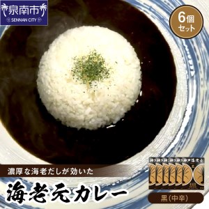 濃厚海老出汁 海老元カレー（中辛）6個セット（レトルト 常温 簡単調理 レトルト食品 レトルトカレー かれー カレーセット セット カレー 人気カレー 詰め合わせ 加工食品 お手軽 おすすめ 人気 泉南市 海老だし 濃厚海老だし）