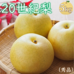 20世紀梨（秀品） 5kg（10～16玉）（2024年8月下旬～発送）