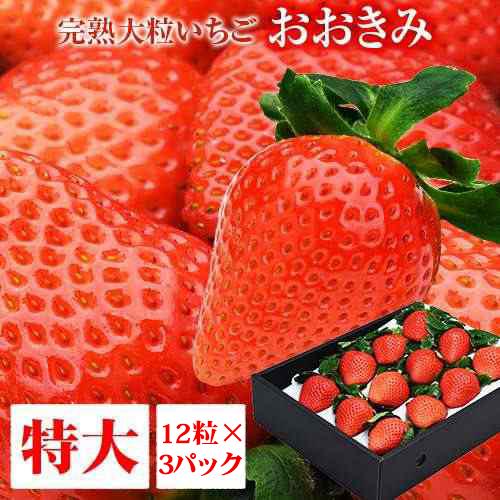 宮崎県産 大粒いちご 1パック380g以上(1粒あたり30〜39g) 日付指定不可 いちご イチゴ 苺