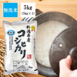 ［新米入荷］無洗米  令和5年産  5kg (5ｋｇｘ1)