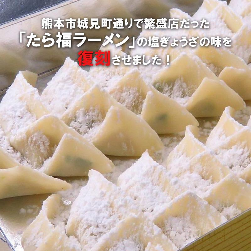 [徳用]塩餃子大袋100個セット