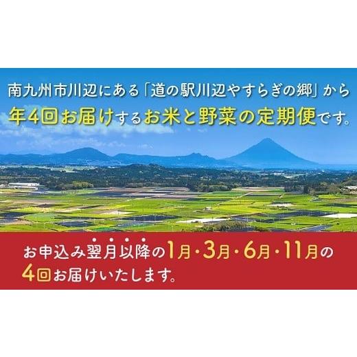 ふるさと納税 鹿児島県 南九州市 道の駅からお届け!お米と採れたて野菜定期便 013-15