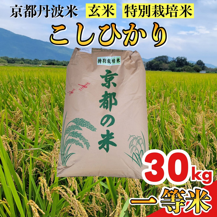 玄米 30kg 京都丹波米 こしひかり◇《新米 一等米 コシヒカリ 特別栽培米 減農薬》 ※北海道・沖縄・離島への配送不可