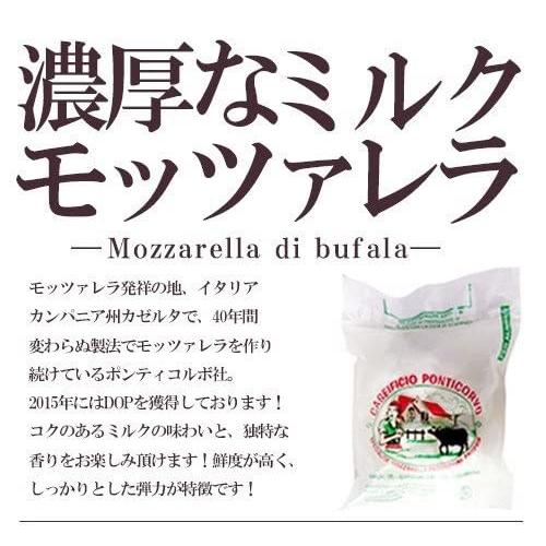 　太陽のピッツァ　薪窯焼き本格ナポリピッツァマルゲリータ４枚セット（マルゲリータ）（２１ｃｍ×４枚）