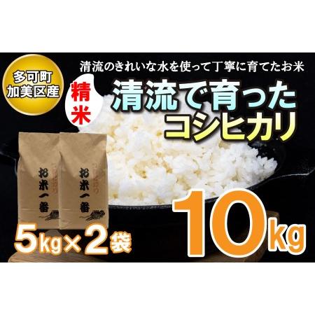 ふるさと納税 多可町加美区の清流で育ったコシヒカリ５kg×２袋[829] 兵庫県多可町