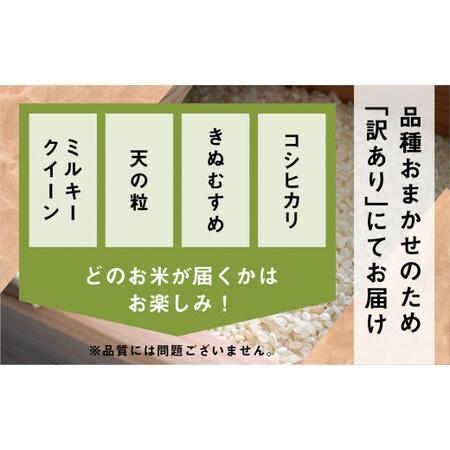 ふるさと納税 訳あり 備蓄米 30kg 3年保存パック うるち米 令和4年産 品種 おまかせ 備蓄 真空パック 常温 長期保存 米 白米 30kg 保存 常備 送.. 愛知県田原市