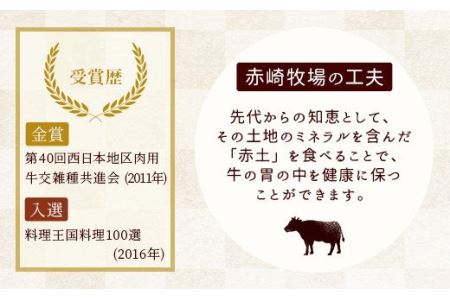 赤崎牛 赤身焼肉カット 約600g×6ヶ月 計3.6kg