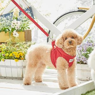 Toto Pal リトルドットボディーハーネス ラベンダー 4号 ハーネス 犬用 通販 Lineポイント最大get Lineショッピング