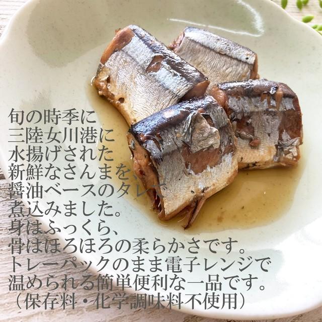 魚 国産 さんまの煮付 120g×１０パック 箱 保存料・化学調味料不使用