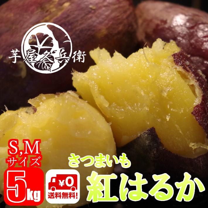 茨城県産 さつまいも 追熟　紅はるか S,Mサイズ 5kg箱