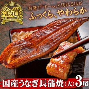 国産うなぎ長蒲焼(大)3尾 送料無料 うなぎ ウナギ 鰻 土用の丑の日 丑の日 大容量 お買い得 冷凍 蒲焼き 送料無料