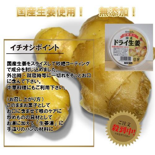 ドライ 生姜 ７０g お買得 ３個 セット 信州自然王国 砂糖漬け 国産 野菜チップス