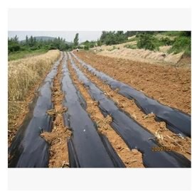 【地膜-黑色-厚0.008mm-2米寬-毛重4kg/組】塑膠薄膜 地膜 1米1.5米2米寬， 8 kg 除草專用黑地膜-5101015