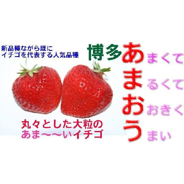 福岡産 あまおう 苺 デラックスパック 2パック いちご イチゴ