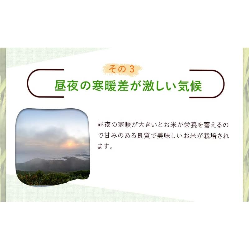 白米 いちほまれ 福井県の新しいブランド米 10kg（5kg×2） 令和5年産 福井県産