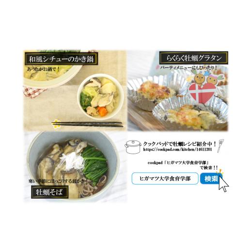 ふるさと納税 宮城県 東松島市 宮城県  奥松島産 鳴瀬かき 生食用 600g2023年11月頃配送開始予定 牡蠣 かき カキ 生かき むき身