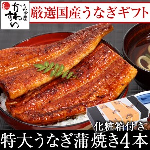 ギフト セット 国産 うなぎ 蒲焼き 特大170g×4本 送料無料 化粧箱 ギフトセット 鰻 ウナギ 御礼 御祝 お見舞い 贈答  のし 結婚 出産 お