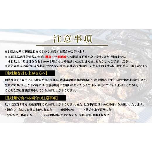 ふるさと納税 宮崎県 日南市 年内発送≪数量限定≫宮崎県産ブランド牡蠣『ひとしおオイスター』計20個　魚介　貝　かき　生食用　殻付き　国産 CB81-23