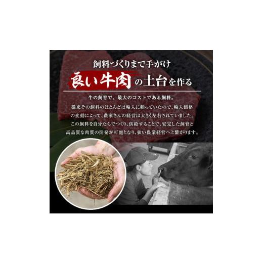 ふるさと納税 鹿児島県 曽於市 ＜2024年4月中に発送予定＞鹿児島県産黒毛和牛(A5等級)赤身ステーキ 合計600g(300g×2パック) 赤身 ステーキ 牛肉A…