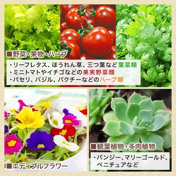 グロウボックス 水耕栽培 グロウテント 植物育成 野菜 室内 植物 観葉植物 ベランダ 室内栽培