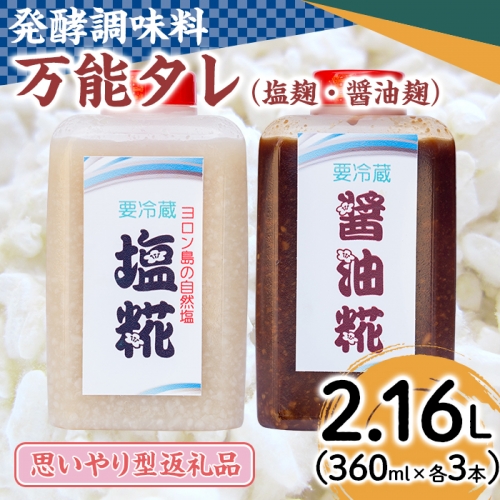 12月17日までのご入金で年内発送！《思いやり型返礼品》コク出し発酵調味料！万能タレ＜塩麹・醤油麹＞(計6本・360ml×各3本)