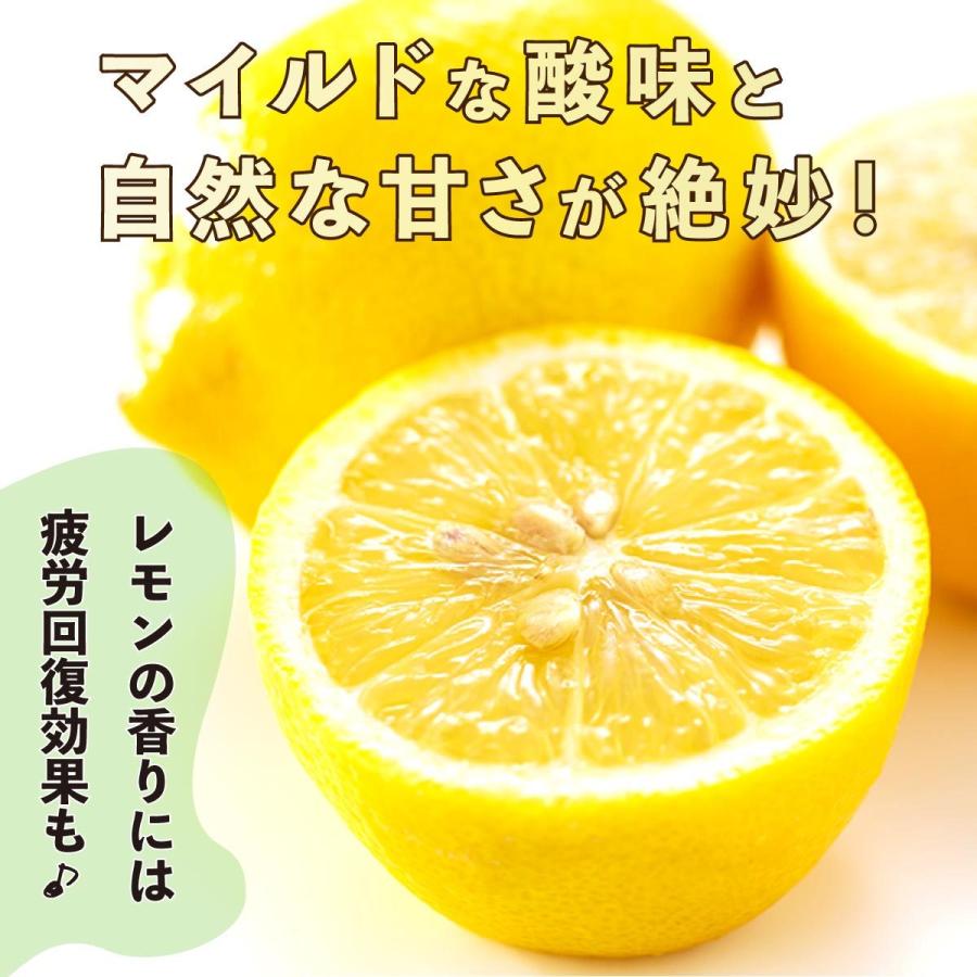 ＼今シーズン販売終了／  レモン 国産 潮風レモン ５箱 (7〜10玉)×5箱 オーガニック マイヤーレモン 佐賀 防カビ剤不使用 産地直送