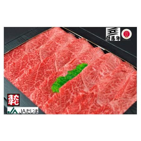 ふるさと納税 赤身スライス（モモ・肩部位）（500g） 兵庫県豊岡市