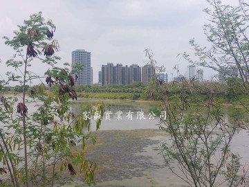 近九份子重劃區都內農｜台南市安南區海南段