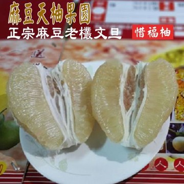 2026年中秋-麻豆天柚果園 惜福柚文旦10斤裝(約10-20顆/箱)(中秋節預購)