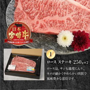 宮崎牛 ロース ステーキ 250g×2 宮崎県産和牛小間切れ 100g×2 計700g　N0147-ZB526