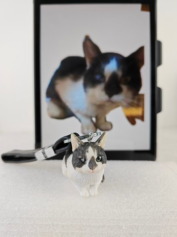 定製化貓咪 寵物 公仔 毛小孩 肖像畫 似顏繪 定製 紀念 禮物 54