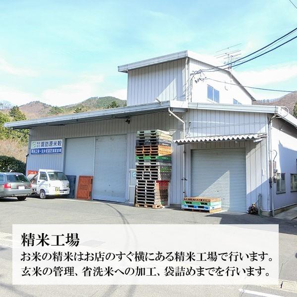 新米 令和5年産 全16種類 お米の食べ比べ 選べる 30個セット（各300g 約2合） すわげんの省洗米 誕生日 プレゼント ギフト お中元 お歳暮 内祝い