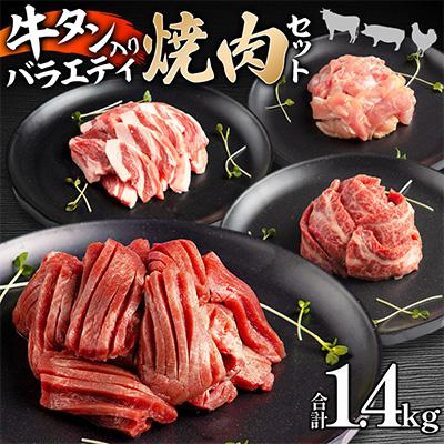 ふるさと納税 宮崎市 宮崎県産牛豚鶏牛タンスライス焼肉セット