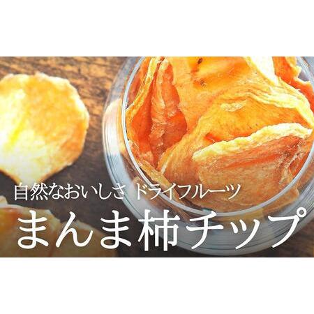 ふるさと納税 ドライフルーツ 柿チップ 500g 50g × 10袋 和歌山県産 果物使用 自社製造  和歌山県有田川町