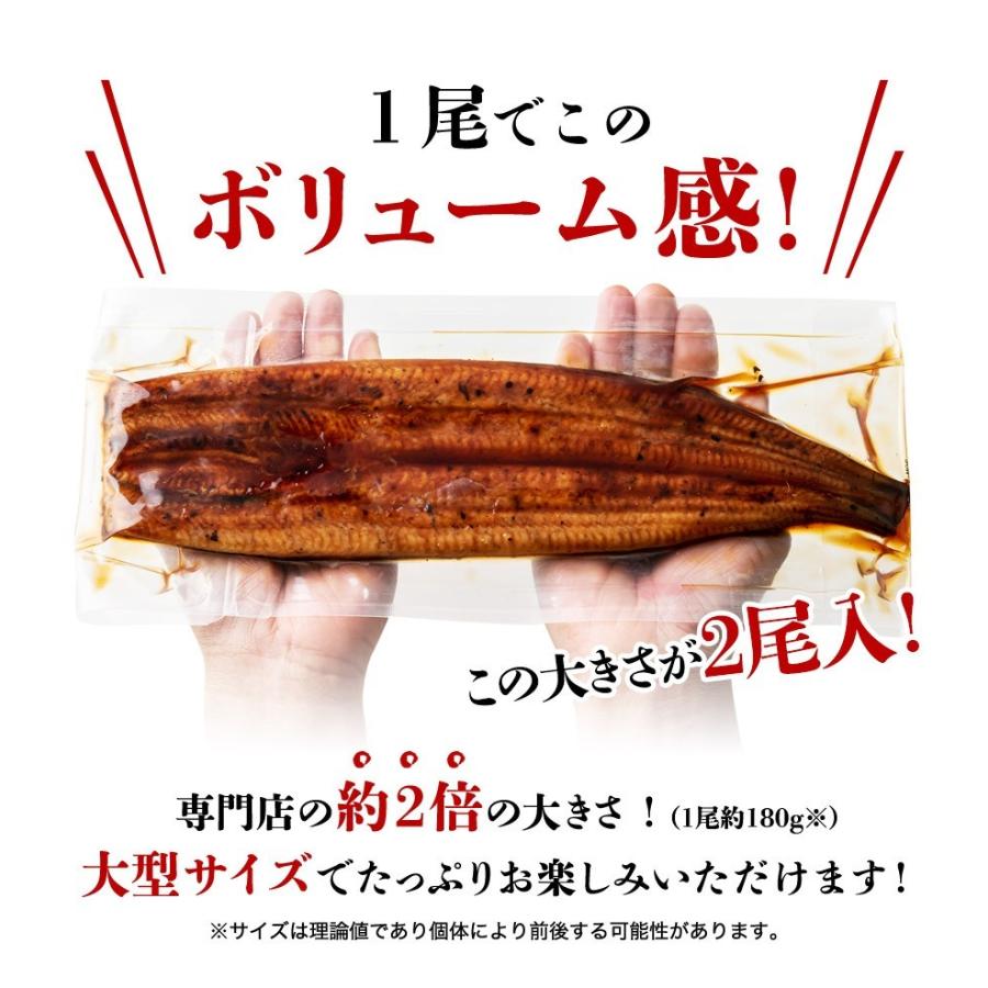 うなぎ 蒲焼き 鰻 国産 無投薬 約180g×2尾 2本 特大 風呂敷包み ウナギ かば焼き タレ 冷凍便 ギフト お取り寄せ