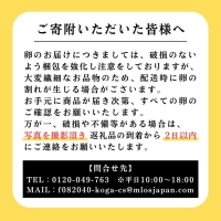 AG13_江原ファーム　体に優しい地養卵（30個） ※着日指定不可