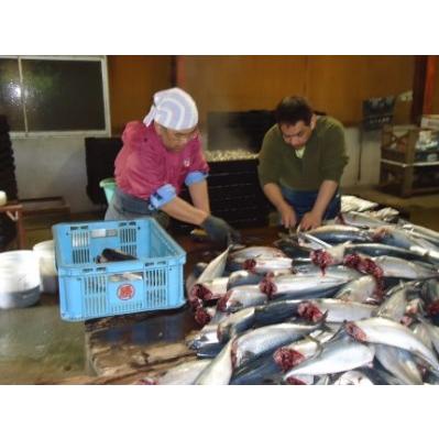 ふるさと納税 無添加・天然！サバ削り節(半生スライスタイプ)（3袋） 鹿児島県屋久島町