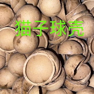 臺灣出貨+免運1~6寸紙球殼底託匹配球殼毫空紙紙殼球形圓形手工新款diy專用