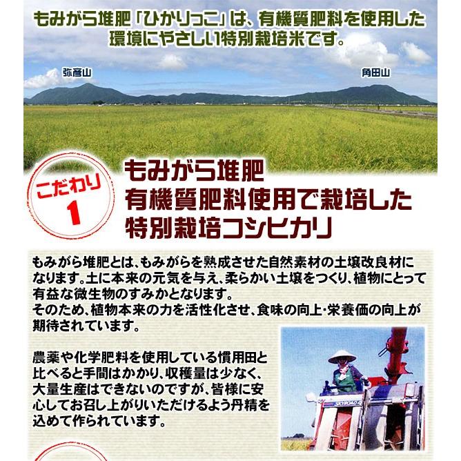 ((令和5年度))新潟ひかりっこ 新潟県産　特別栽培米　ひかりっこ米 2kg