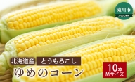 北海道産 とうもろこし ゆめのコーン 10本(Mサイズ)＜2024年8月中旬～順次出荷＞｜北海道 滝川市 トウモロコシ とうきび トウキビ 野菜 やさい 2024年発送 令和6年発送 先行受付