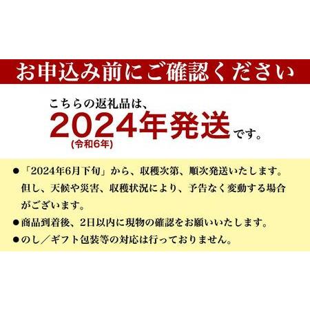 ふるさと納税 アップルマンゴー 秀品 南城市 約1kg (2〜3玉) 沖縄県南城市