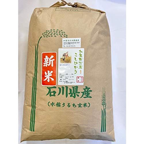 令和4年産 在庫一掃 石川県産 加賀百万石 厳選 コシヒカリ 食用玄米 30kg