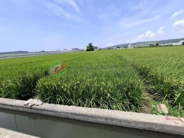 林園都內城鄉發展區利多美農地｜高雄市林園區溪州段
