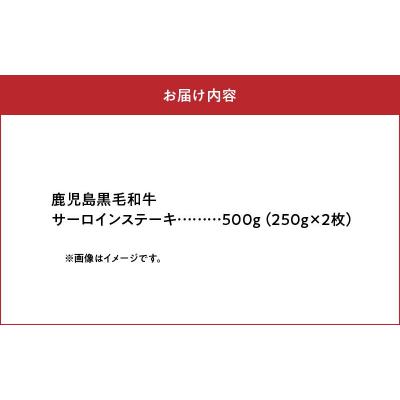 ふるさと納税 南九州市 期間限定!鹿児島黒毛和牛サーロインステーキ250g×2枚