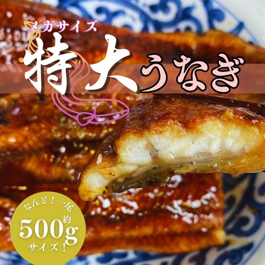 メガサイズ　特大　うなぎ　蒲焼き　約500ｇ　2尾