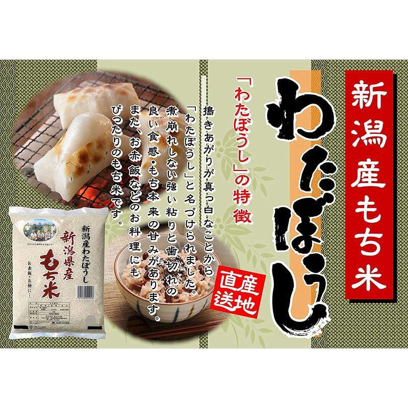 新潟県産 もち米 わたぼうし 5kg 令和3年産 令和4年産