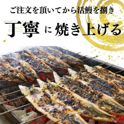 ふるさと納税 蟹江町 国産うなぎ白焼き　3尾セット