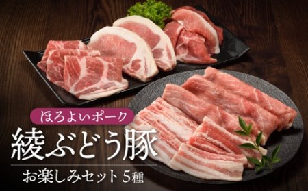 国産 豚肉 ブランド 豚 綾ぶどう豚 お楽しみ セット 食べつくし 詰め合わせ バラエティー ロース とんかつ 肩ロース 生姜焼き バラ 焼肉 もも スライス 小間切れ 調理 日時 指定 可能（22-34）